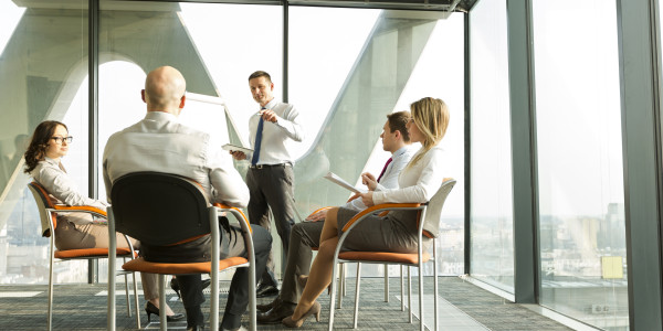 Coaching Emocional para Ejecutivos y Equipos Directivos en Girona · Cohesión del equipo